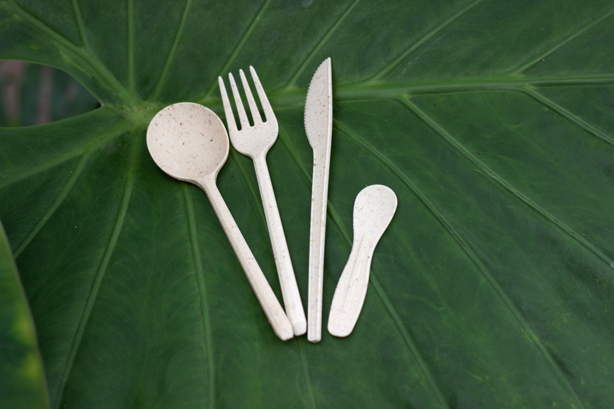 Creating Compostable Plant Based Plastics Clean50